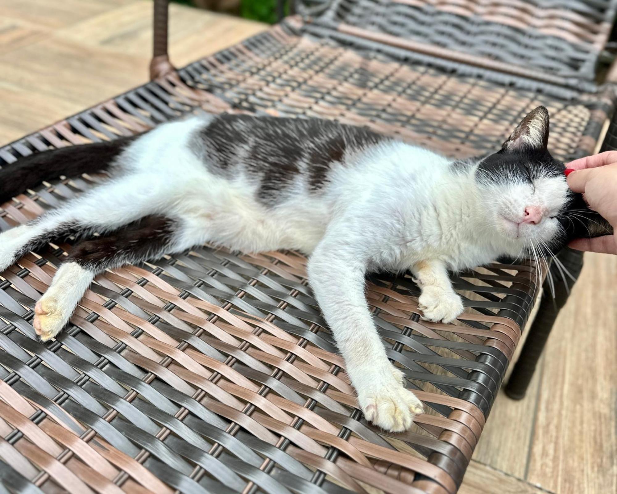 Casa Park Villa Araquari Dış mekan fotoğraf