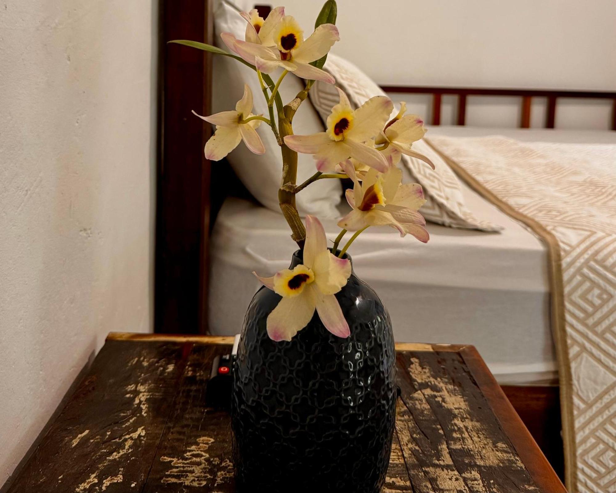 Casa Park Villa Araquari Oda fotoğraf